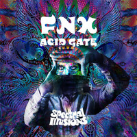 Thumbnail for the Fnx - Acid Gate link, provided by host site