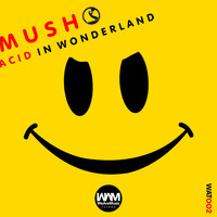 Thumbnail for the MUSh - Acid in Wonderland link, provided by host site