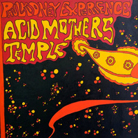 Thumbnail for the ACID MOTHERS TEMPLE - Acid Mothers Temple / Paul Kidney Experience link, provided by host site