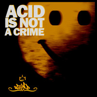 Thumbnail for the Lars Wickinger - Acid Wolf link, provided by host site