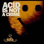 Thumbnail for the Lars Wickinger - Acid Wolf link, provided by host site