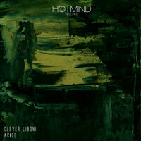 Thumbnail for the Clever Liboni - Acido link, provided by host site