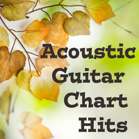 Thumbnail for the The O'Neill Brothers Group - Acoustic Guitar Chart Hits link, provided by host site
