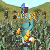 Thumbnail for the Levelle London - Acres link, provided by host site