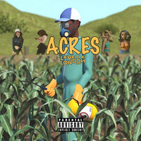 Thumbnail for the Levelle London - Acres link, provided by host site