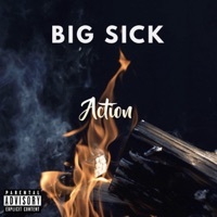 Thumbnail for the Big Sick - Action link, provided by host site