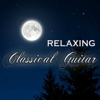 Thumbnail for the Guitar - Adagio in G Minor link, provided by host site