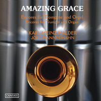 Thumbnail for the Remo Giazotto - Adagio in G minor (attrib. to Albinoni) (arr. for trumpet and organ) link, provided by host site