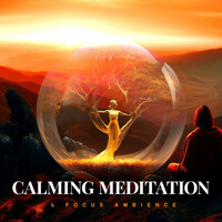 Thumbnail for the Calma - Adaptation Adaptation link, provided by host site