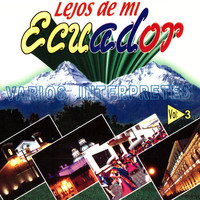 Thumbnail for the Tradicional - Adiós link, provided by host site