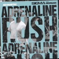 Thumbnail for the Sigma - Adrenaline Rush [Acoustic] link, provided by host site
