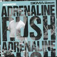 Thumbnail for the Sigma - Adrenaline Rush (Acoustic) link, provided by host site