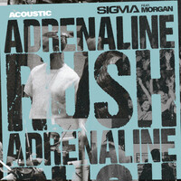 Thumbnail for the Sigma - Adrenaline Rush (Acoustic) link, provided by host site