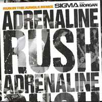 Thumbnail for the Sigma - Adrenaline Rush (Run In The Jungle Remix) link, provided by host site