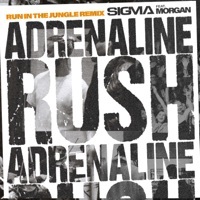 Thumbnail for the Sigma - Adrenaline Rush (Run In The Jungle Remix) link, provided by host site