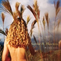 Thumbnail for the Sophie B. Hawkins - Adrian link, provided by host site