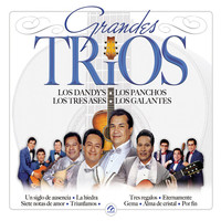 Thumbnail for the Los Panchos - Adrián Flores link, provided by host site