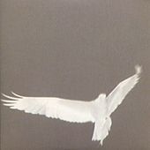 Image of Bardo Pond linking to their artist page due to link from them being at the top of the main table on this page