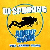 Thumbnail for the DJ Spinking - Adult Swim link, provided by host site