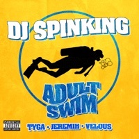 Thumbnail for the DJ Spinking - Adult Swim link, provided by host site