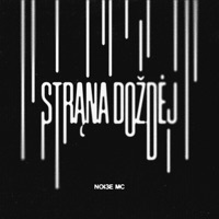 Thumbnail for the Noize MC - Страна дождей link, provided by host site