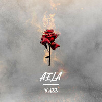 Thumbnail for the Nass - Aela link, provided by host site