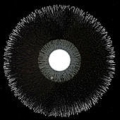 Image of Midnight Juggernauts linking to their artist page due to link from them being at the top of the main table on this page
