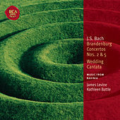 Thumbnail for the James Levine - Affettuoso link, provided by host site