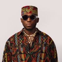 Image of SPINALL linking to their artist page due to link from them being at the top of the main table on this page