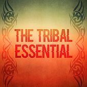Thumbnail for the Jonathan Meyer - Afrofunk link, provided by host site