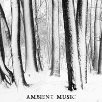 Thumbnail for the Noisebuilder - After The Mountain - Original link, provided by host site