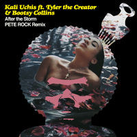 Thumbnail for the Kali Uchis - After the Storm [Pete Rock Remix] link, provided by host site