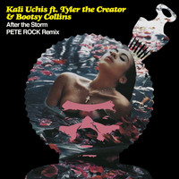 Thumbnail for the Kali Uchis - After The Storm (Pete Rock Remix) link, provided by host site