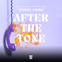 Thumbnail for the Prinsh - After the Tone link, provided by host site