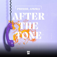 Thumbnail for the Prinsh - After The Tone link, provided by host site