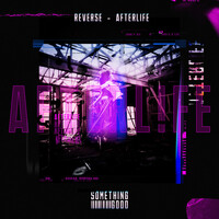 Thumbnail for the Reverse - Afterlife link, provided by host site