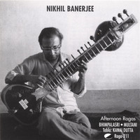 Thumbnail for the Nikhil Banerjee - Afternoon Ragas link, provided by host site