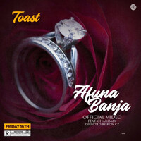 Thumbnail for the Toast - Afuna Banja link, provided by host site