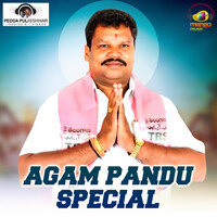 Thumbnail for the Peddapuli Eshwar - Agam Pandu Special link, provided by host site