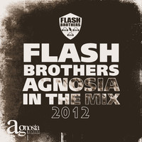Thumbnail for the Flash Brothers - Agnosia in the Mix Album link, provided by host site
