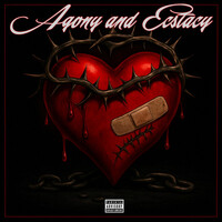 Thumbnail for the Suicide - Agony and ecstasy link, provided by host site