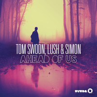 Thumbnail for the Tom Swoon - Ahead of Us (Radio Edit) link, provided by host site