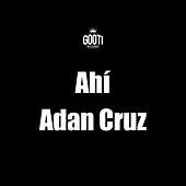 Image of Adan Cruz linking to their artist page due to link from them being at the top of the main table on this page