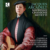 Thumbnail for the Cappella Mediterranea - Ahime, dov'è'l bel viso link, provided by host site