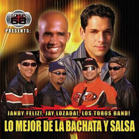 Image of Los Toros Band linking to their artist page due to link from them being at the top of the main table on this page