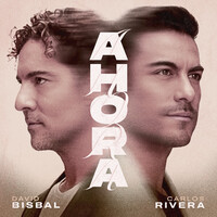Thumbnail for the David Bisbal - Ahora link, provided by host site