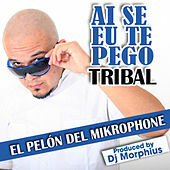 Image of El Pelón del Mikrophone linking to their artist page due to link from them being at the top of the main table on this page