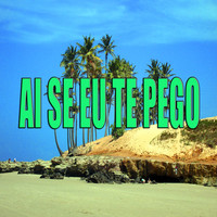 Thumbnail for the Play - Ai Se Eu Te Pego link, provided by host site