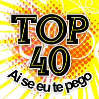 Thumbnail for the Top 40 - Ai Se Eu Te Pego link, provided by host site