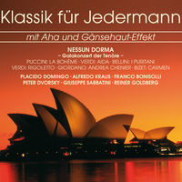 Thumbnail for the Adam Medvecky - Aida, Act I: "Celeste Aida" link, provided by host site